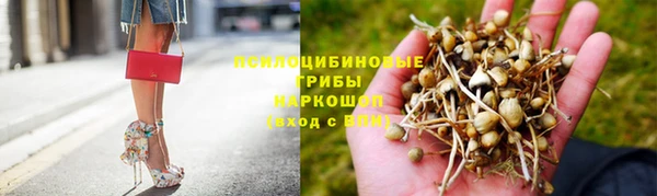 мдма Каменногорск