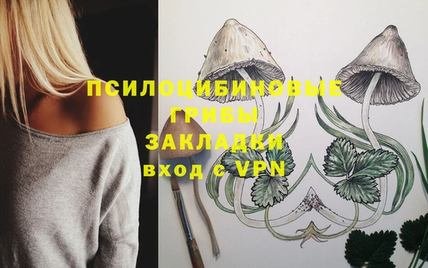 мдма Каменногорск