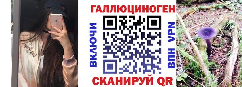 Купить где  Мамоново  Галлюциногенные грибы мицелий 
